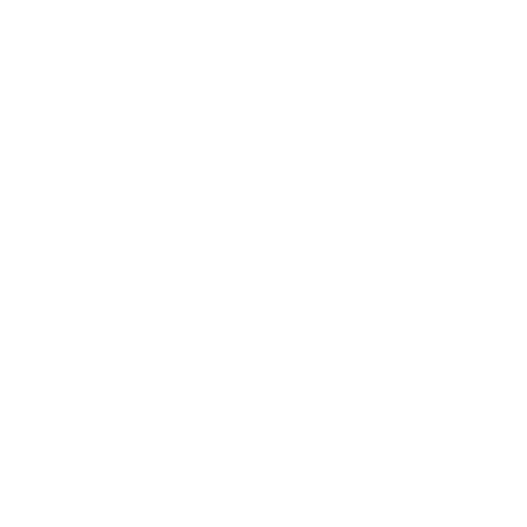 white icon of coin being inserted into a piggy bank with a plus symbol on it