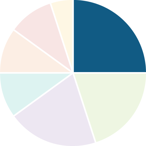 Member Loyalty Cash pie chart with 25% slice highlighted