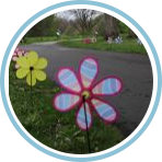 Logo for May Flower Fun Run/Walk/Roll