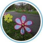 May Flower Fun Run/Walk/Roll.