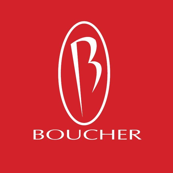 Logo for Boucher Hyundai of Janesville