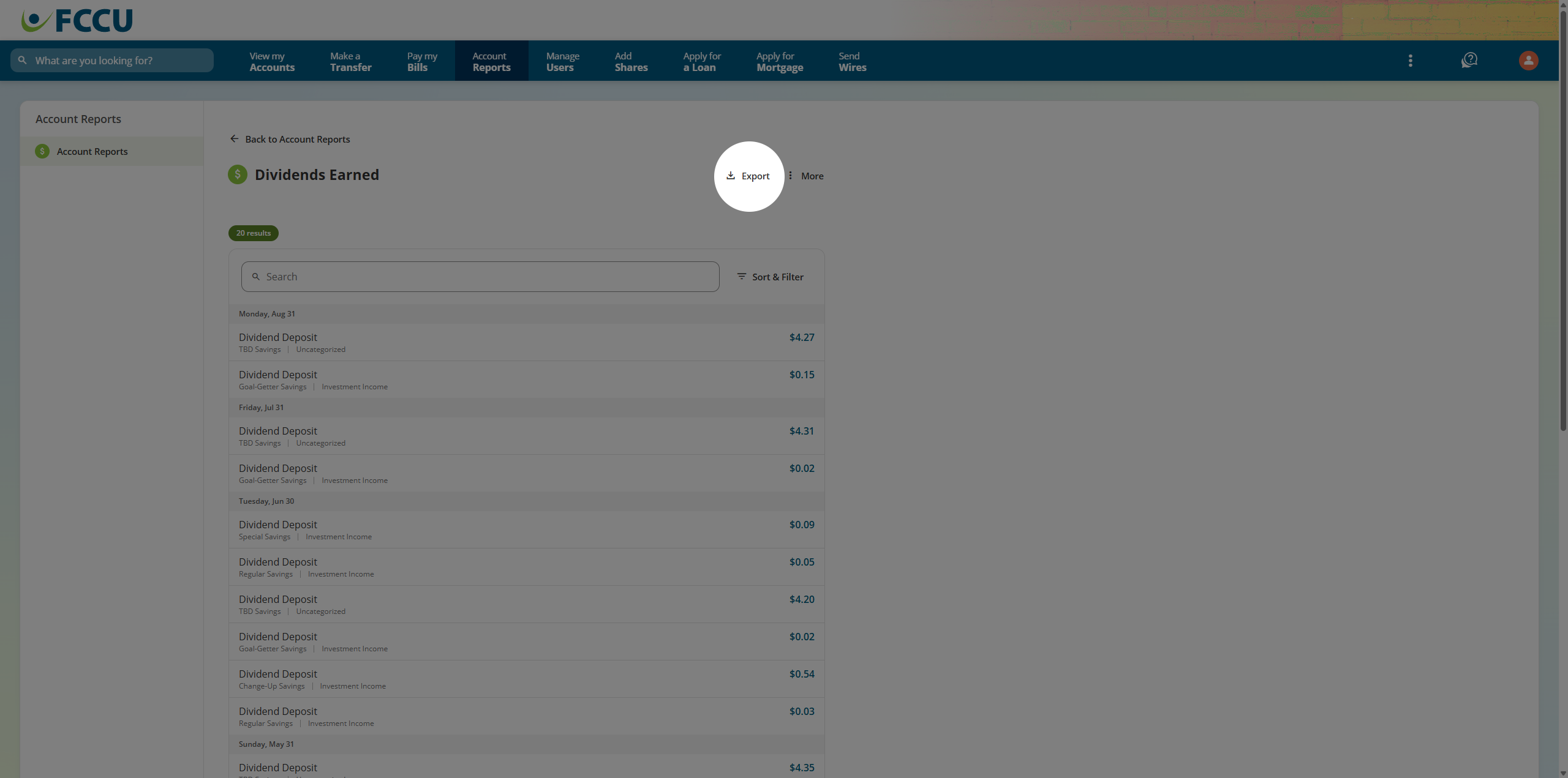 Screenshot of digital banking 'Report' page.