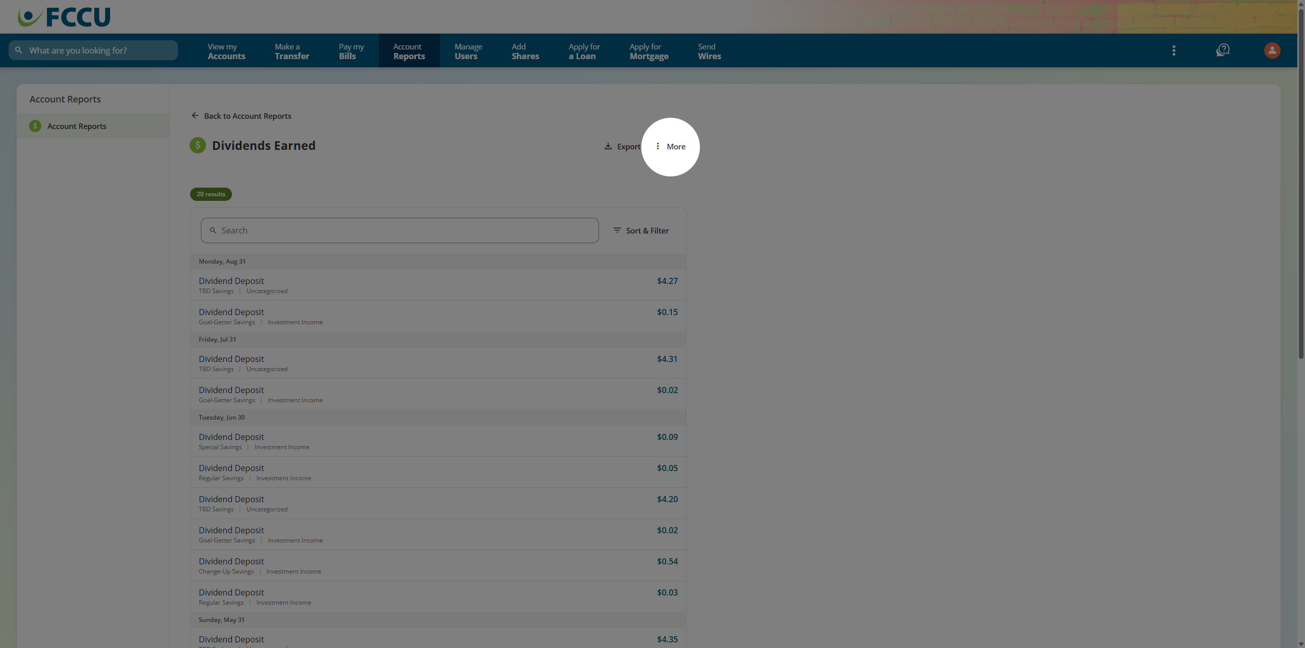 Screenshot of digital banking 'Report' page.